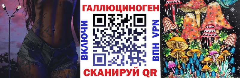 Псилоцибиновые грибы Cubensis Алзамай